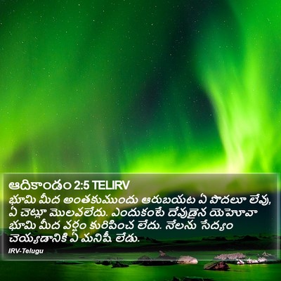 ఆదికాండం 2:5 TELIRV Bible Verse Image