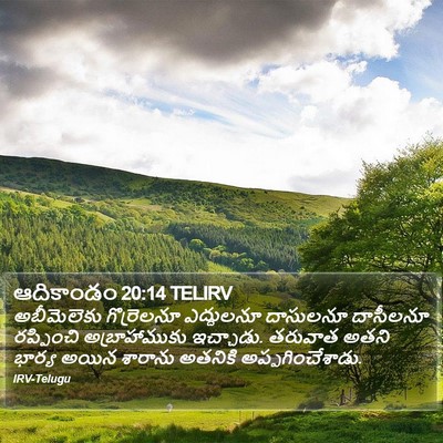 ఆదికాండం 20:14 TELIRV Bible Verse Image