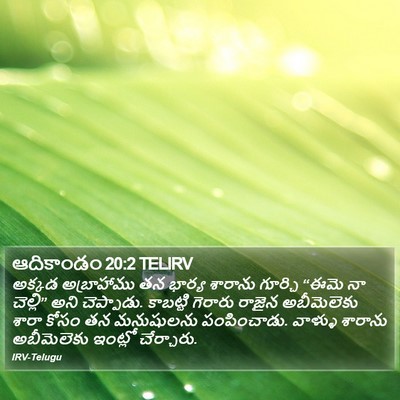 ఆదికాండం 20:2 TELIRV Bible Verse Image