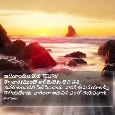 ఆదికాండం 20:8 TELIRV Bible Verse Image