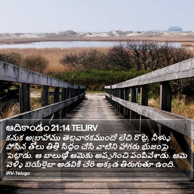 ఆదికాండం 21:14 TELIRV Bible Verse Image