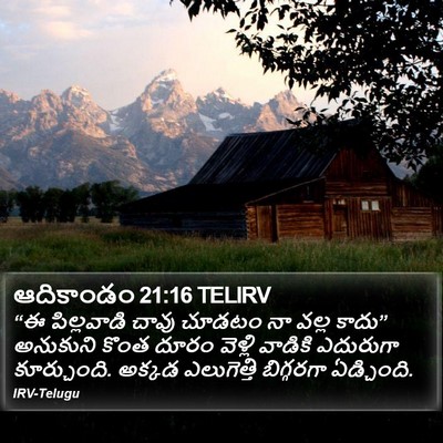 ఆదికాండం 21:16 TELIRV Bible Verse Image