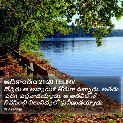 ఆదికాండం 21:20 TELIRV Bible Verse Image