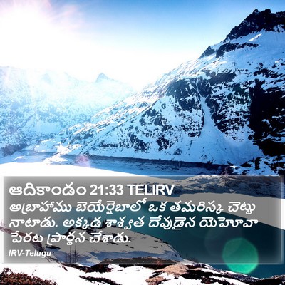 ఆదికాండం 21:33 TELIRV Bible Verse Image