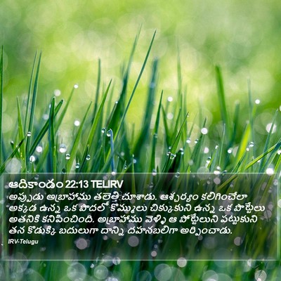 ఆదికాండం 22:13 TELIRV Bible Verse Image