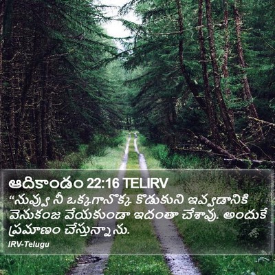 ఆదికాండం 22:16 TELIRV Bible Verse Image