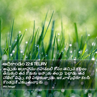 ఆదికాండం 22:6 TELIRV Bible Verse Image