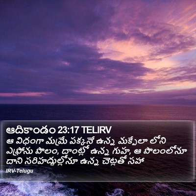 ఆదికాండం 23:17 TELIRV Bible Verse Image