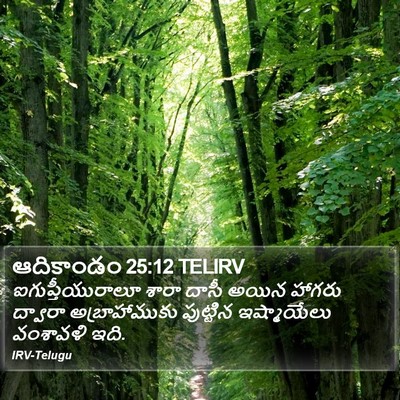 ఆదికాండం 25:12 TELIRV Bible Verse Image