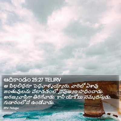 ఆదికాండం 25:27 TELIRV Bible Verse Image