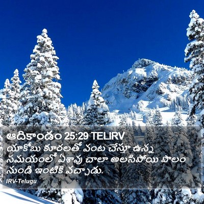 ఆదికాండం 25:29 TELIRV Bible Verse Image