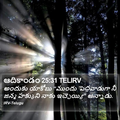 ఆదికాండం 25:31 TELIRV Bible Verse Image