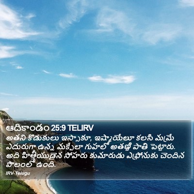 ఆదికాండం 25:9 TELIRV Bible Verse Image