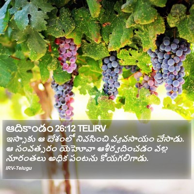 ఆదికాండం 26:12 TELIRV Bible Verse Image