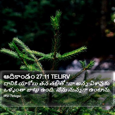 ఆదికాండం 27:11 TELIRV Bible Verse Image