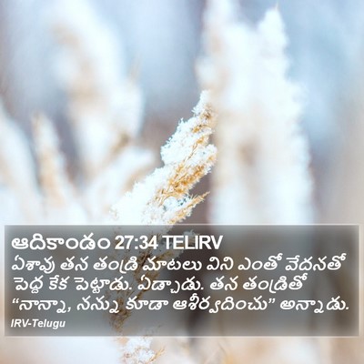 ఆదికాండం 27:34 TELIRV Bible Verse Image