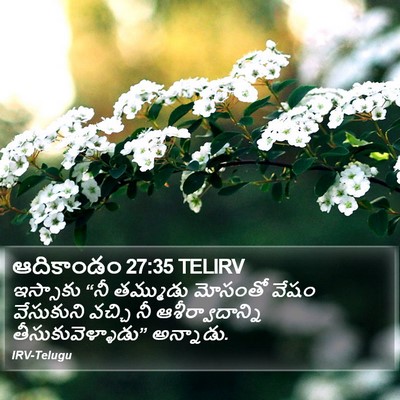 ఆదికాండం 27:35 TELIRV Bible Verse Image