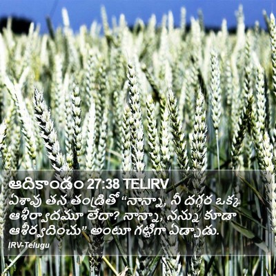 ఆదికాండం 27:38 TELIRV Bible Verse Image