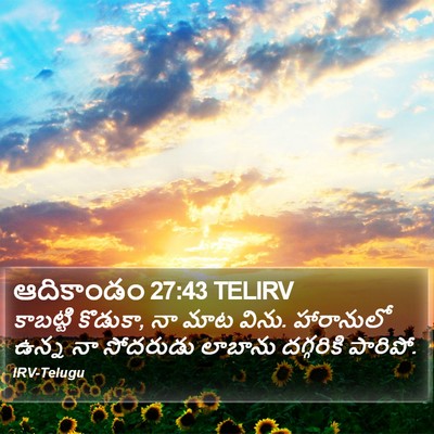 ఆదికాండం 27:43 TELIRV Bible Verse Image
