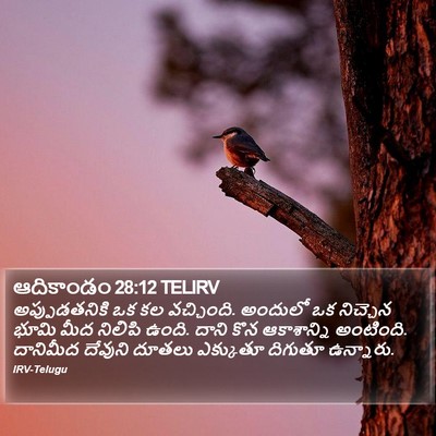 ఆదికాండం 28:12 TELIRV Bible Verse Image