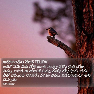 ఆదికాండం 28:15 TELIRV Bible Verse Image