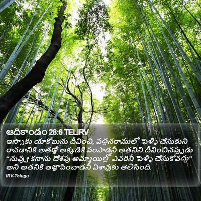 ఆదికాండం 28:6 TELIRV Bible Verse Image