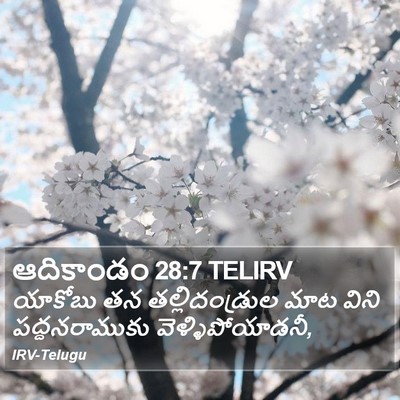 ఆదికాండం 28:7 TELIRV Bible Verse Image