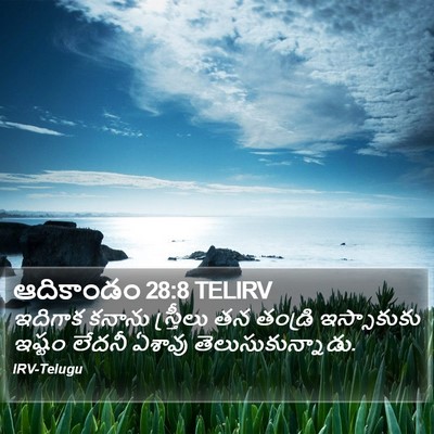 ఆదికాండం 28:8 TELIRV Bible Verse Image