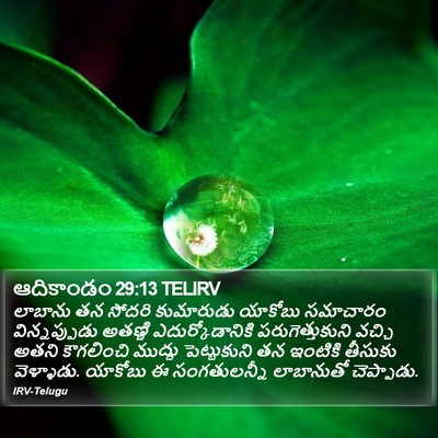 ఆదికాండం 29:13 TELIRV Bible Verse Image
