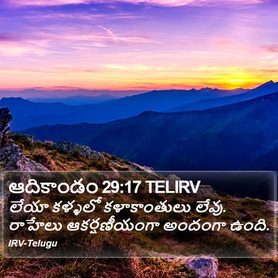 ఆదికాండం 29:17 TELIRV Bible Verse Image