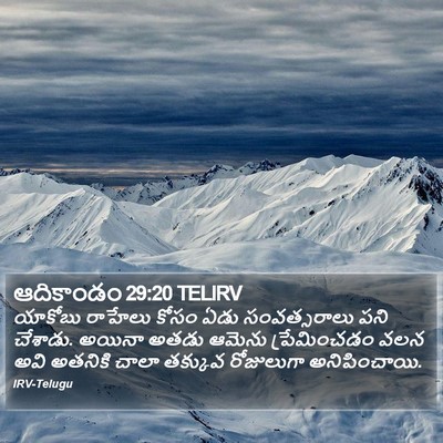 ఆదికాండం 29:20 TELIRV Bible Verse Image