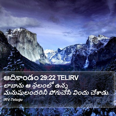 ఆదికాండం 29:22 TELIRV Bible Verse Image