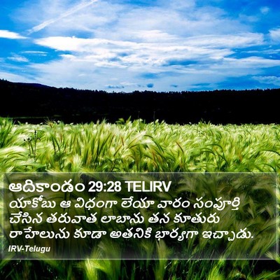 ఆదికాండం 29:28 TELIRV Bible Verse Image