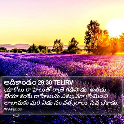 ఆదికాండం 29:30 TELIRV Bible Verse Image