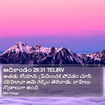 ఆదికాండం 29:31 TELIRV Bible Verse Image