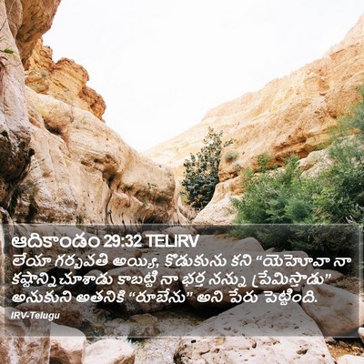 ఆదికాండం 29:32 TELIRV Bible Verse Image