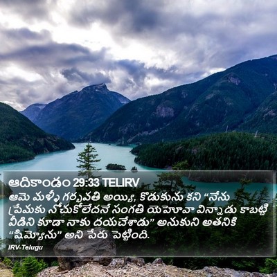 ఆదికాండం 29:33 TELIRV Bible Verse Image