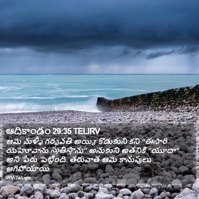 ఆదికాండం 29:35 TELIRV Bible Verse Image