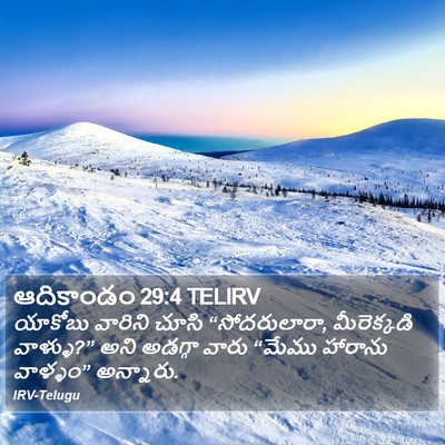 ఆదికాండం 29:4 TELIRV Bible Verse Image