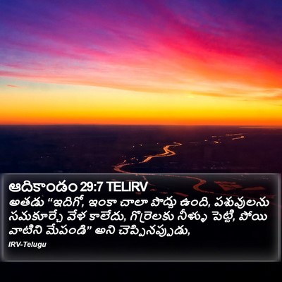 ఆదికాండం 29:7 TELIRV Bible Verse Image