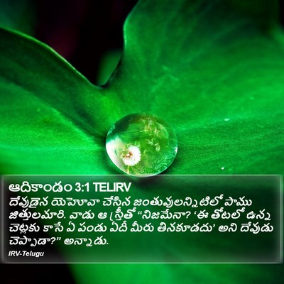 ఆదికాండం 3:1 TELIRV Bible Verse Image
