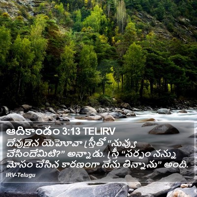 ఆదికాండం 3:13 TELIRV Bible Verse Image