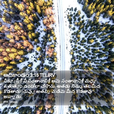 ఆదికాండం 3:15 TELIRV Bible Verse Image