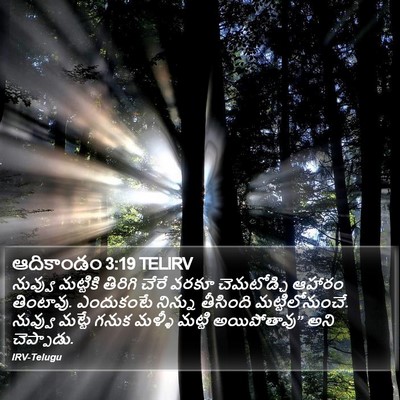 ఆదికాండం 3:19 TELIRV Bible Verse Image