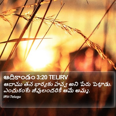 ఆదికాండం 3:20 TELIRV Bible Verse Image