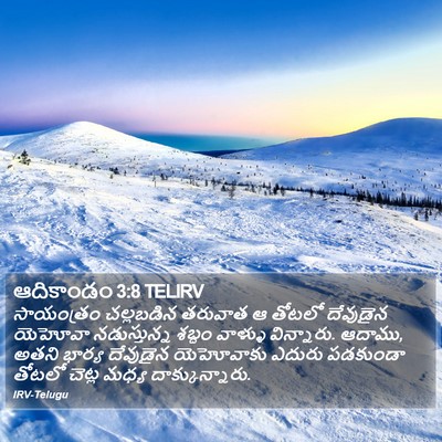 ఆదికాండం 3:8 TELIRV Bible Verse Image