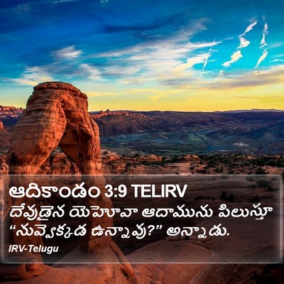 ఆదికాండం 3:9 TELIRV Bible Verse Image