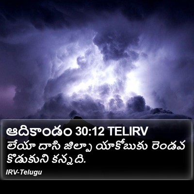 ఆదికాండం 30:12 TELIRV Bible Verse Image