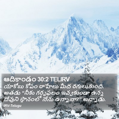 ఆదికాండం 30:2 TELIRV Bible Verse Image