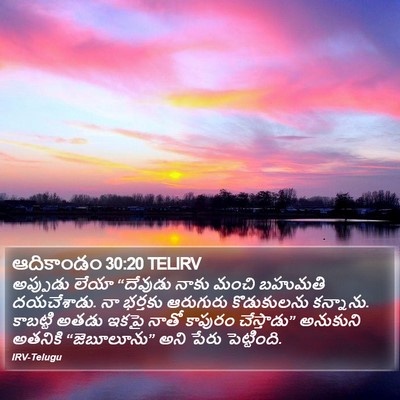ఆదికాండం 30:20 TELIRV Bible Verse Image